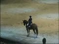 OTP Bank Lovas Vil�gkupa / Budapest Horse Show - Western