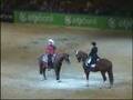 OTP Bank Lovas Világkupa / Budapest Horse Show - Western