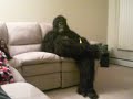 Bobsquatch again