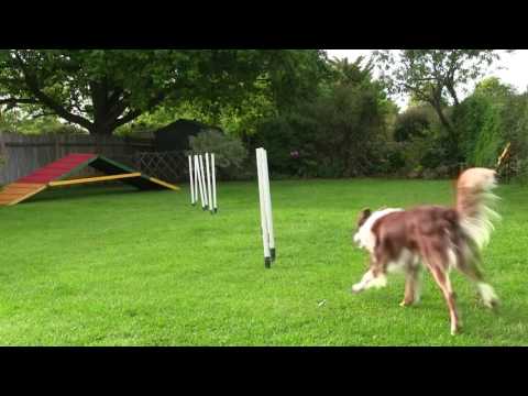 Session 24 - 6 poles almost straight