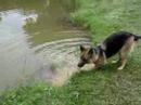 Sargento Meg Muttz