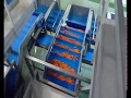 Haith Carrot Washing, Grading & Processing lines