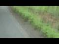 Kreuztage 2008 Auto Courso