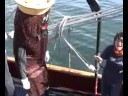 Mr. Floatie Learns to Sail