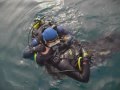 Rescue diver1.mp4