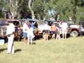 NOLDY Jeep Alvear2006 Argentina NOLDY Jeep Alvear2006 Argentina