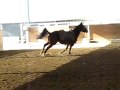 Remy Being Warmed Up
