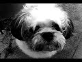 Pasiguenio Playah Version 2 357 Production'z
