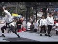 Jujitsu - Forward Roll - Dino Blanche