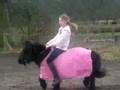 Sophie galopperen op lieve Shetlander!