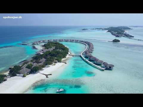 Rejser til Maldiverne - en paradisø med svajende palmer, kridhvide strande og turkisblå hav