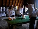 2008 Steele County 4-H Achievement Days-5