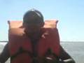 videos de Ilha da amelha 1