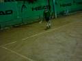 videos de mark kalovelonis 2
