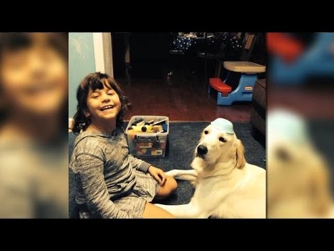 how to control epilepsy in dogs