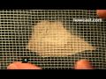How-To-Patch-a-Small