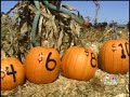 Fall Favorites Costs Are Rising