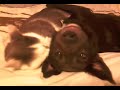 A BEAUTIFULL FRIENDSHIP!!!!
