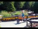 sommer united.wmv sommer united.wmv