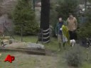 Polar Bear Knut's Keeper Found Dead