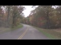 The W Va Cardinal  Virginia  Skyline Drive. Part 3.