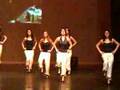 Turksvolksdansen tiel in dordrecht