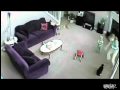 Cat Attacks Babysitter Cat Attacks Babysitter