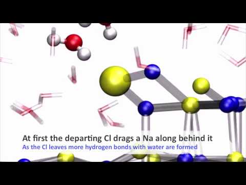How does salt dissolve in water?