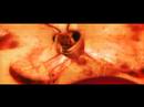 Assistir ao v�deo