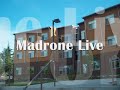 Madrone Live Preview