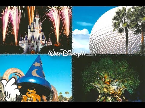 how to do disney world in one day