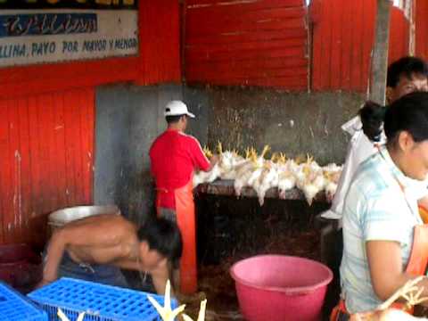 girl killing chicken
