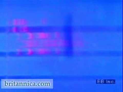 DNA Fingerprinting (Britannica.com)