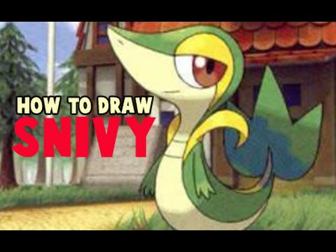 how to draw snivy