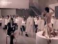 チェ・ジウ HAPPY TREE CF Ⅳ (0802 on wiew)
