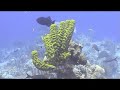 Turks and Caicos Video