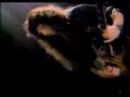 Testament - The Ballad
