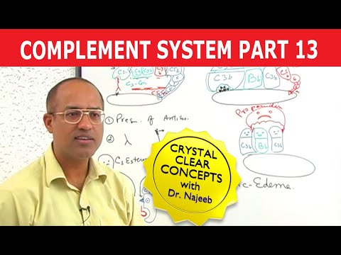 Complement System - Immunology - Part 13/18