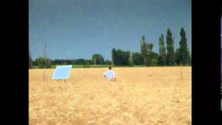 ALTMAN VINCENT & THEO