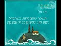 קרן פלס – לייק וואנקה