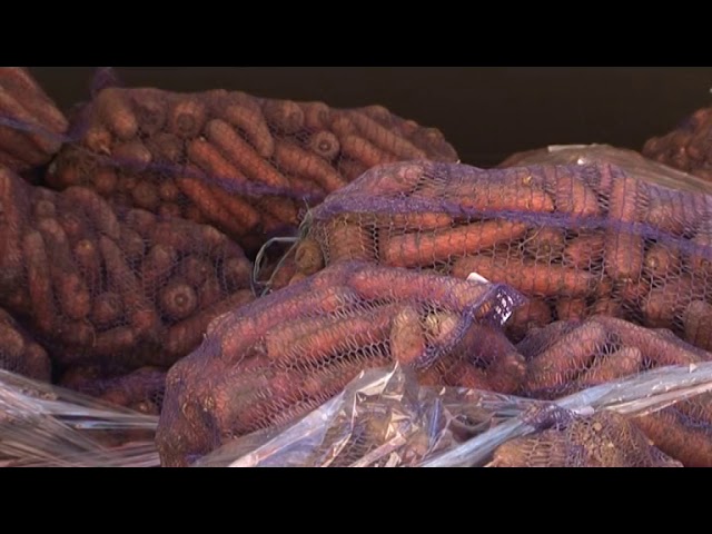 Из анклава с морковью Из анклава с морковью