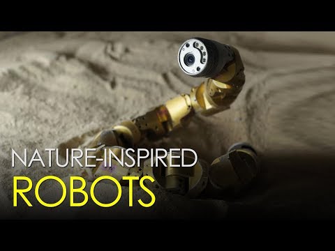 Robots Inspired By Nature