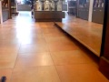 DogCafe