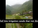 Banaue tour