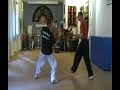 2^ parte Metodo Pratico Mantide Religiosa taiji Meihua
