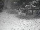 Dec 2 2007 snow in NJ