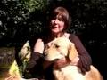 Natural Healthy Dog Food