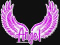 Social Distortion – Angel's Wings