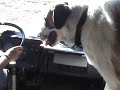 videos de PISTA DE TAOUZ A ZAGORA