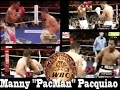 manny-pacman-pacquiao-wbc-lichtgewicht-kampioen-tribute.html